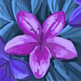 Carolyn T. avatar icon