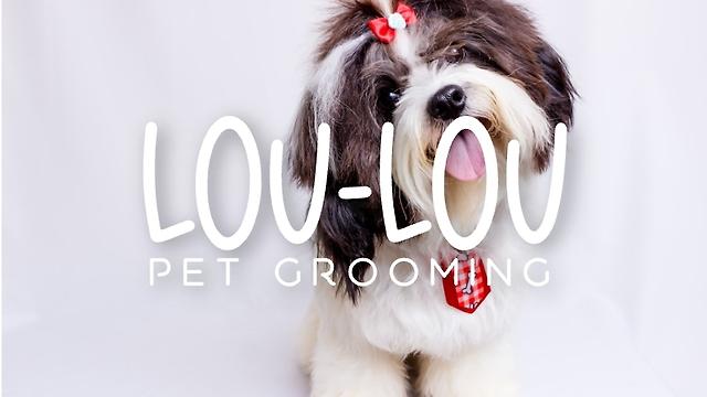 Dog Groomer