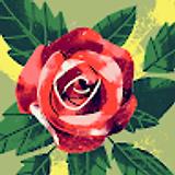 Eli G. avatar icon