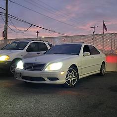 company photo