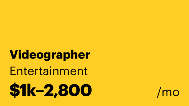 Videographer