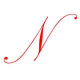Nancy Yang Fashions - NBYNANCY logo