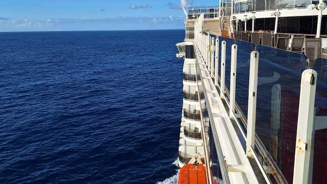 CRUISE DIRECTOR