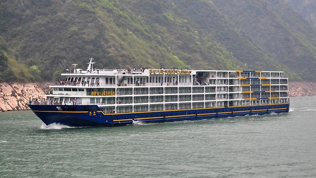 CRUISE DIRECTOR