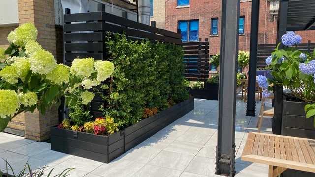 Roof Garden Maintenance