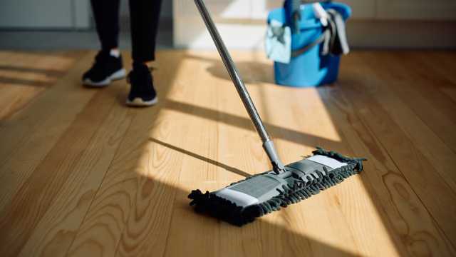 House Cleaner