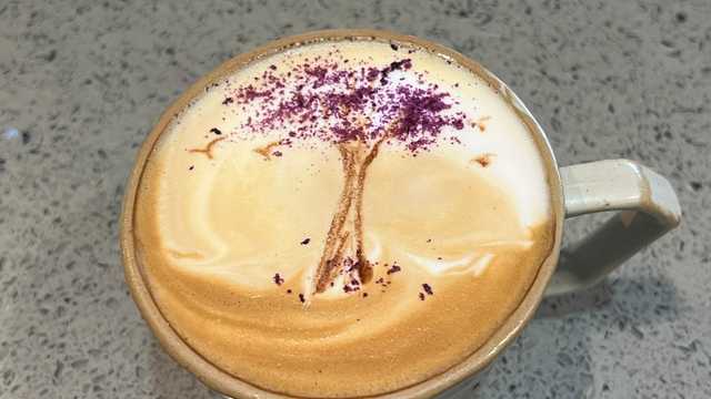 Barista