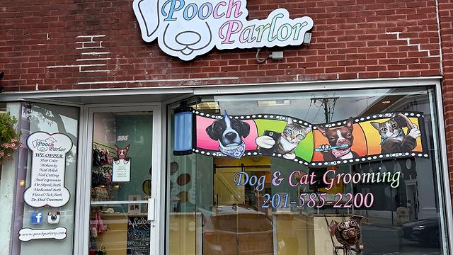 Dog Groomer