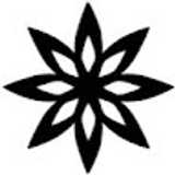 District M. avatar icon