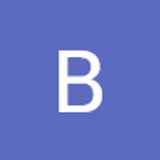 Bibi R. avatar icon